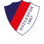 Düzcespor badge
