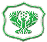Al Masry badge