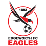 Edgeworth Eagles badge