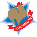 Shanghai Shenxin badge