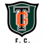 Tivoli Gardens badge