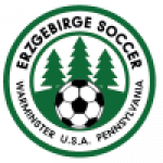 Vereinigung Erzgebirge badge