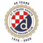 St Albans Saints badge