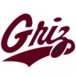 Montana Grizzlies badge