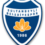 Sultanbeyli badge