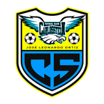 Carlos Stein badge