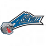 UNC Asheville Bulldogs badge