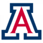 Arizona Wildcats badge