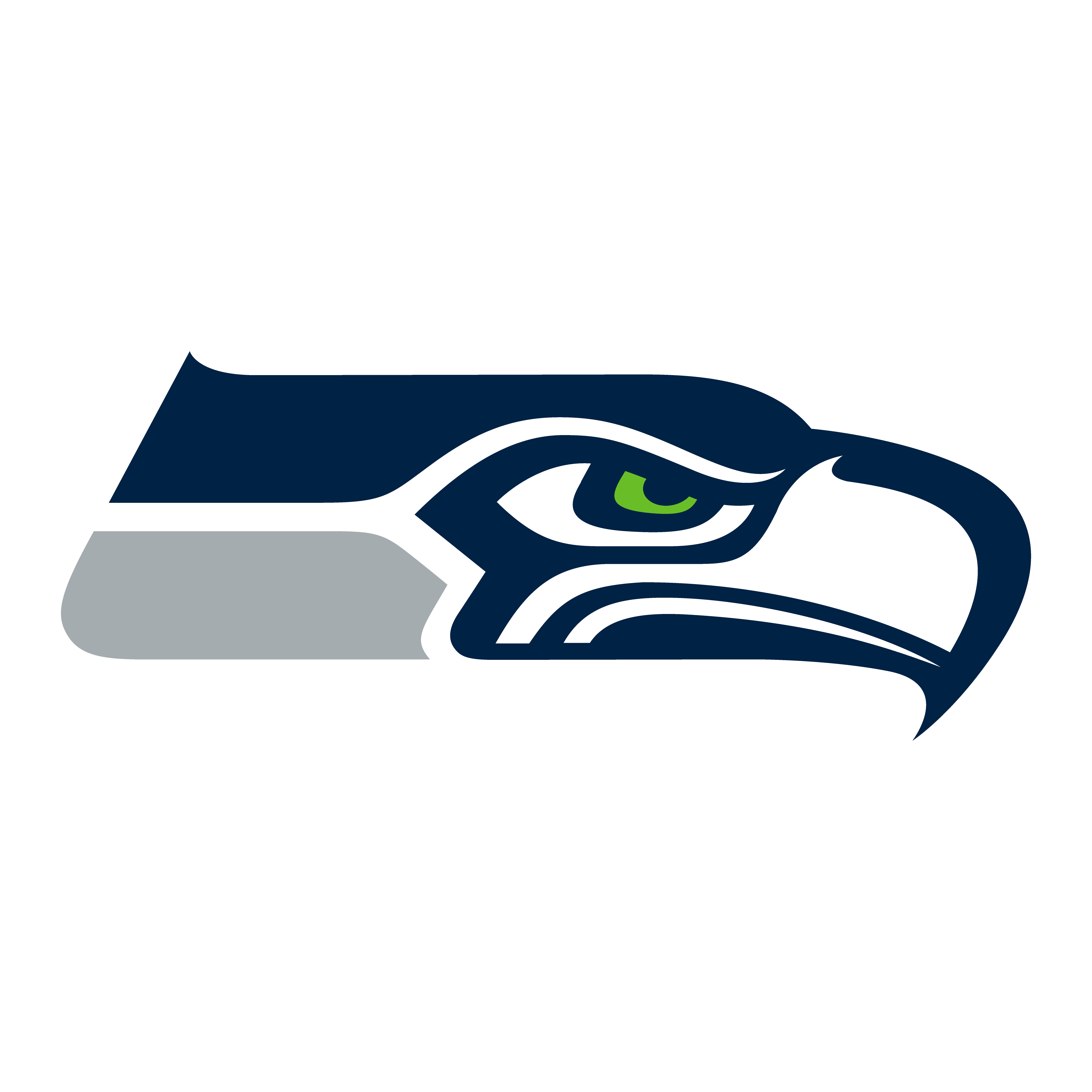 Seattle Seahawks badge