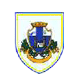 ICC South All-Stars U-15 badge