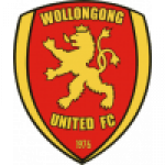 Wollongong United badge