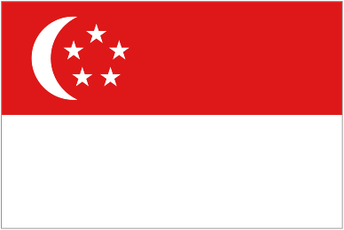 Singapore badge