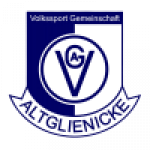 VSG Altglienicke badge