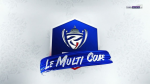 - MULTI COUPE - badge