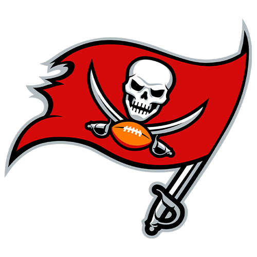 Tampa Bay Buccaneers badge