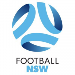 New South Wales XI badge