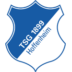 Hoffenheim U-19 badge