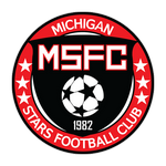 Michigan Stars badge