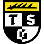 TSG Balingen badge
